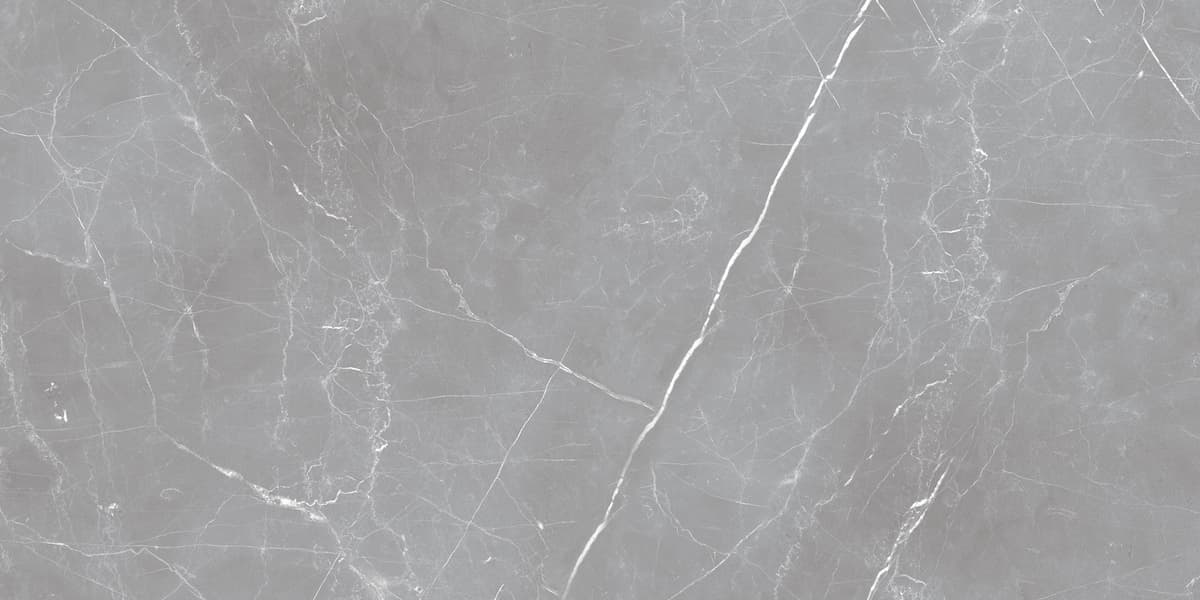 Керамогранит Ocean Ceramic Iran Arion Gray Dark 59.7х119.7 20 мм